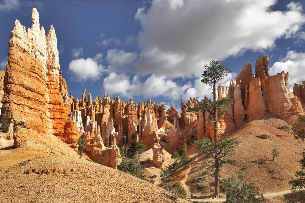 The well-known orange rocks in Bryce canyon in state of Utah USA